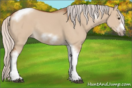 Horse Color:Silver Bay Dun Sabino Tobiano Frame Rabicano 