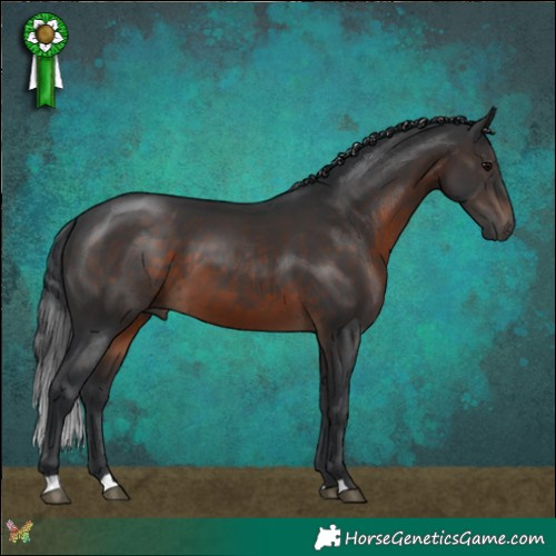 Horse Color:Brown 
