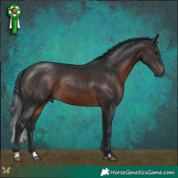 Horse Color:Brown 