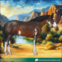 Horse Color:Brown Sabino 