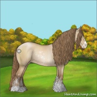 Horse Color:Grullo Pearl Sabino Rabicano 