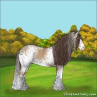 Horse Color:White Spotted Classic Champagne Splash 