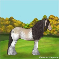 Horse Color:White Spotted Classic Champagne Dun Sabino 