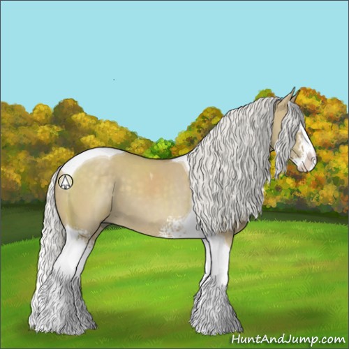 Horse Color:White Spotted Silver Smoky Grullo Splash Tobiano 