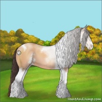 Horse Color:Sable Champagne Sabino Tobiano 