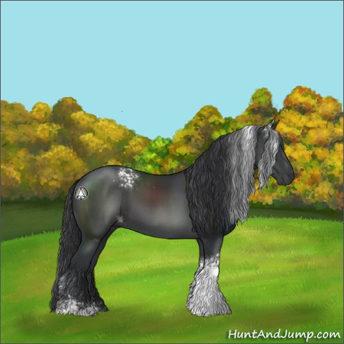 Horse Color:White Spotted Black Sabino 