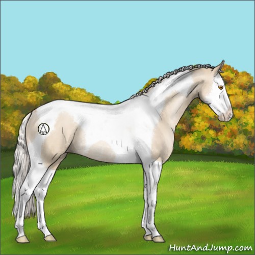 Horse Color:Silver Grullo Pearl Splash Tobiano Rabicano 