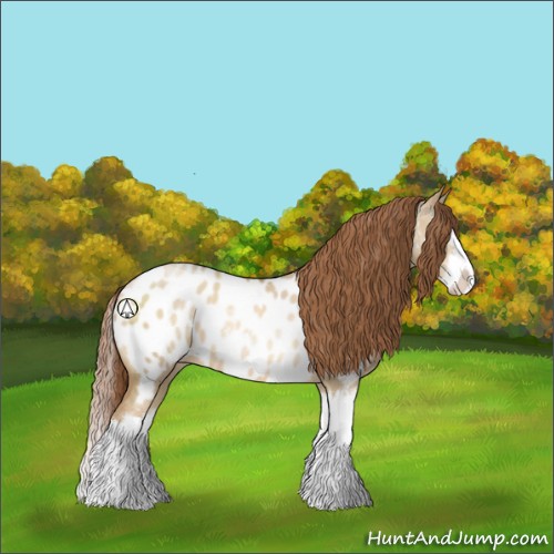 Horse Color:Smoky Grullo Pearl Sabino Splash Appaloosa 
