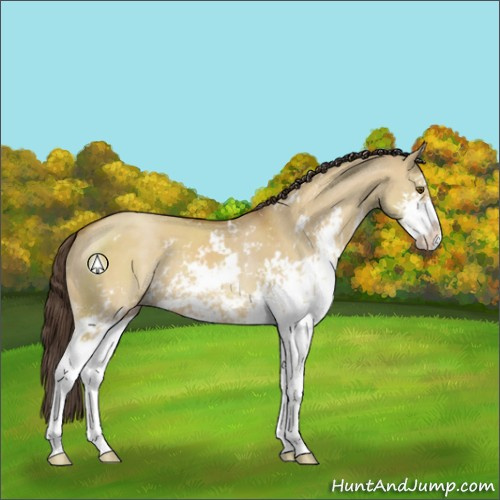 Horse Color:Classic Cream Champagne Dun Sabino 