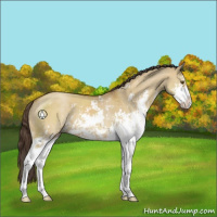 Horse Color:Classic Cream Champagne Dun Sabino 