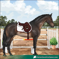 Horse Color:Brown 