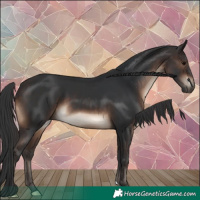 Horse Color:Brown 
