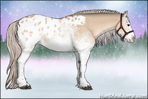Horse Color:White Spotted Silver Bay Dun Appaloosa