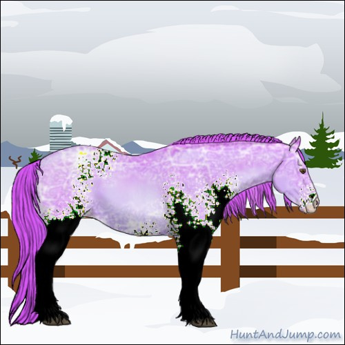 Horse Color:Watercolor White Spotted Liver Chestnut Ice Pearl 