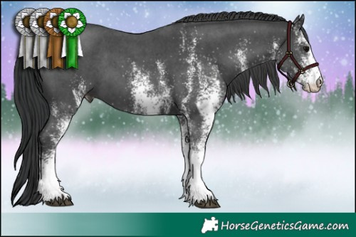 Horse Color:White Spotted Black 