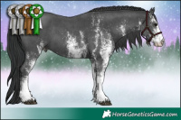Horse Color:White Spotted Black