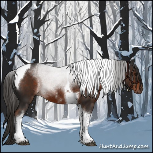 Horse Color:Liver Chestnut Tobiano 