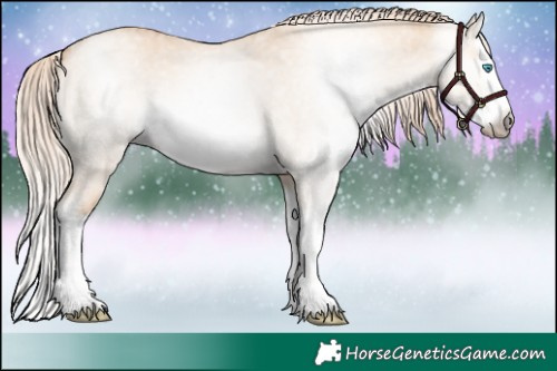 Horse Color:Gray White Spotted Cremello Roan Dun Splash 