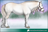 Horse Color:Gray White Spotted Cremello Roan Dun Splash 