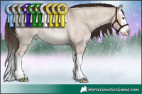 Horse Color:White Spotted Liver Red Dun Roan Splash