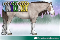 Horse Color:White Spotted Liver Red Dun Roan Splash 