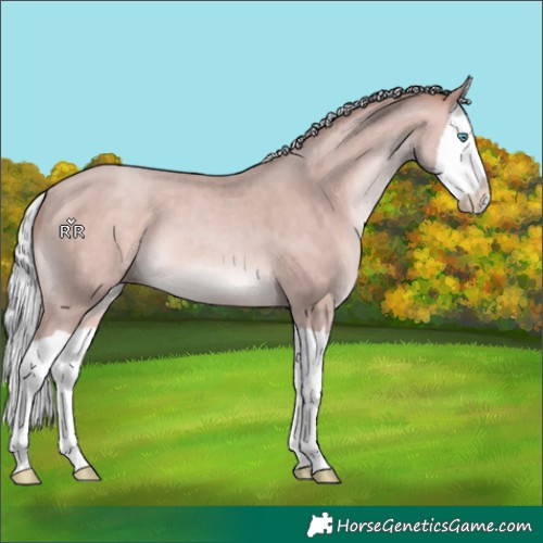 Horse Color:Platinum Silver Sable Champagne Splash 