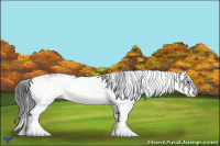 Horse Color:Black Sabino 