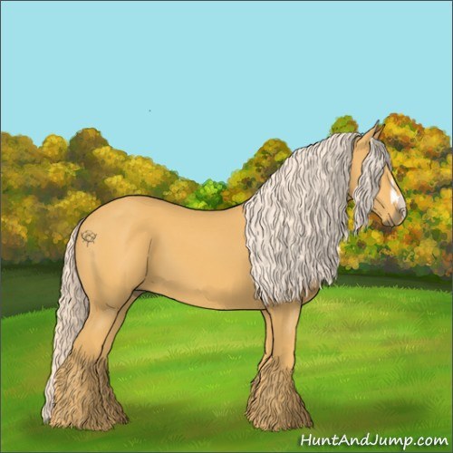 Horse Color:Palomino 