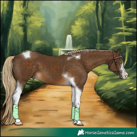 Horse Color:White Spotted Chocolate Palomino Tobiano 