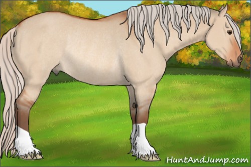Horse Color:Silver Bay Dun Rabicano 