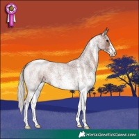 Horse Color:White Spotted Silver Blue Roan 