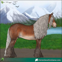 Horse Color:Silver Brown 