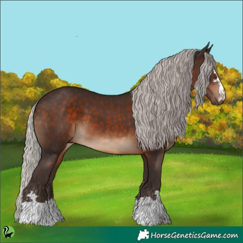 Horse Color:Silver Brown 