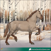 Horse Color:Liver Red Dun Rabicano 