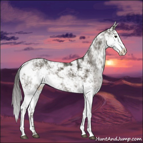 Horse Color:Smoky Black Sabino 