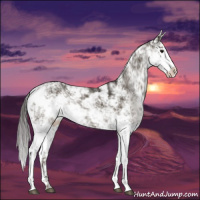 Horse Color:Smoky Black Sabino 
