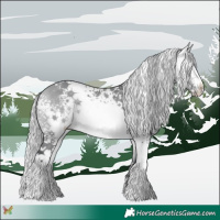 Horse Color:White Spotted Silver Bay Chinchilla 