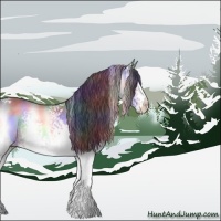 Horse Color:Nacre White Spotted Bay Chinchilla 