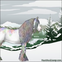 Horse Color:Nacre Silver Bay Chinchilla Onyx Frame 