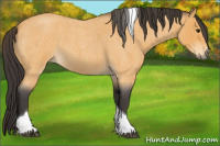 Horse Color:Buckskin Roan Tobiano