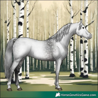 Horse Color:Gray White Spotted Brown Tobiano 