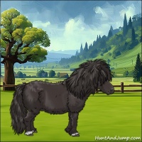 Horse Color:Smoky Black 