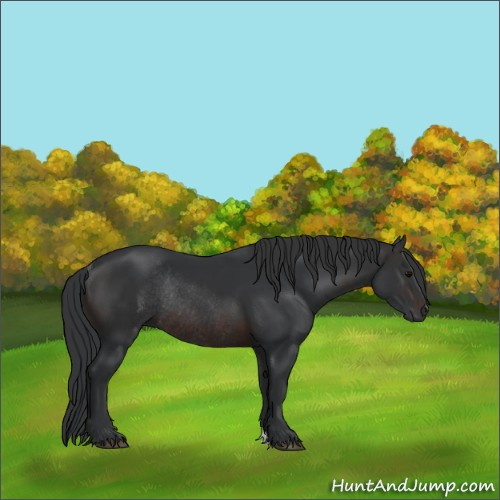 Horse Color:Brown Rabicano 