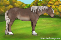Horse Color:Silver Black 