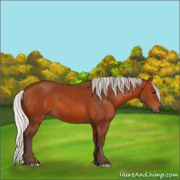 Horse Color:Silver Brown 