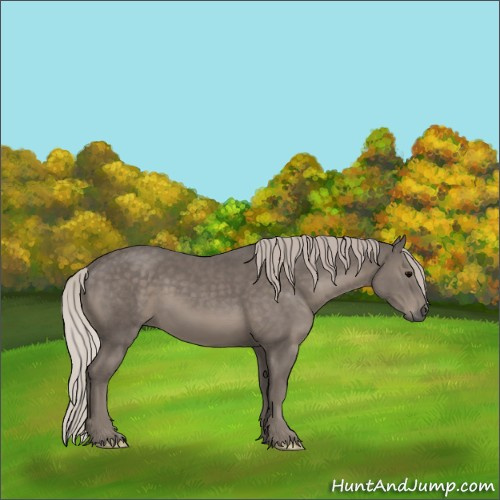 Horse Color:Silver Black 
