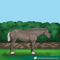 Horse Color:Silver Black 