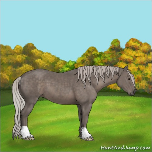 Horse Color:Silver Black 