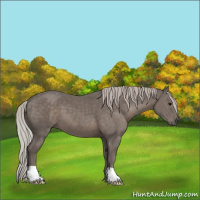 Horse Color:Silver Black 