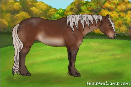 Horse Color:Silver Brown